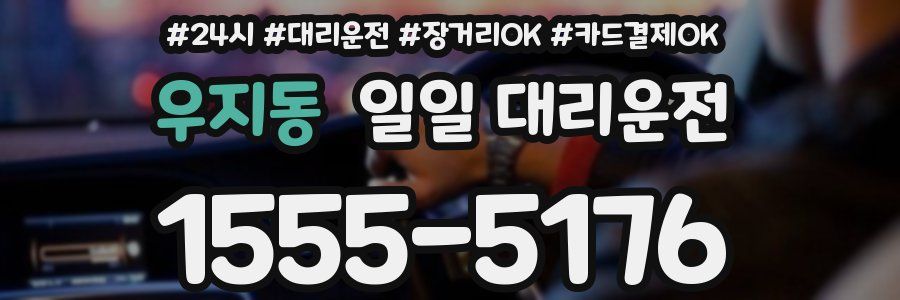 우지동 일일 대리운전