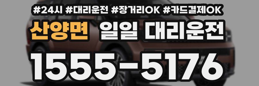 산양면 일일 대리운전