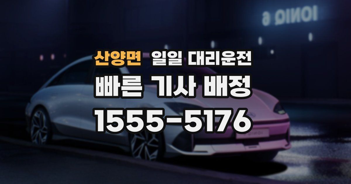 산양면 일일 대리운전