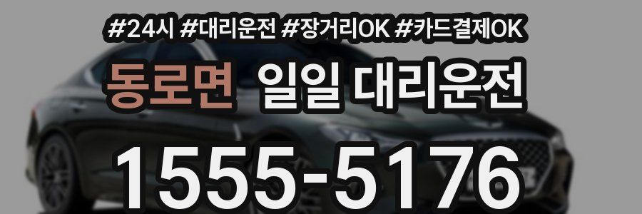동로면 일일 대리운전