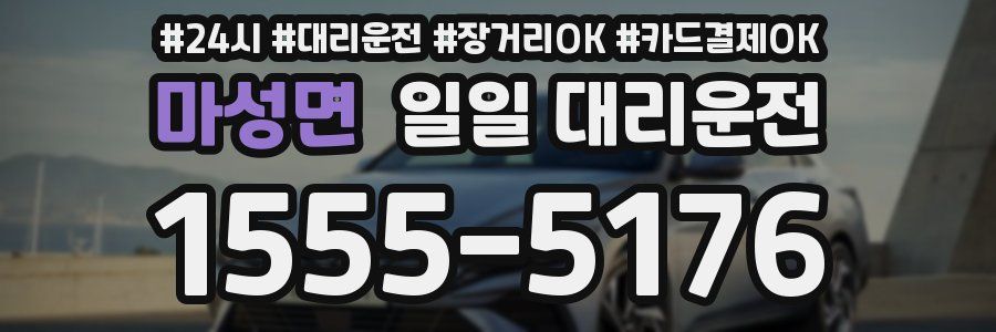마성면 일일 대리운전