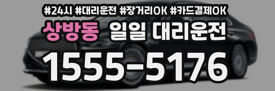 상방동 일일 대리운전