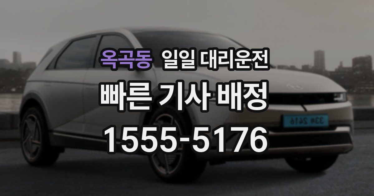 옥곡동 일일 대리운전