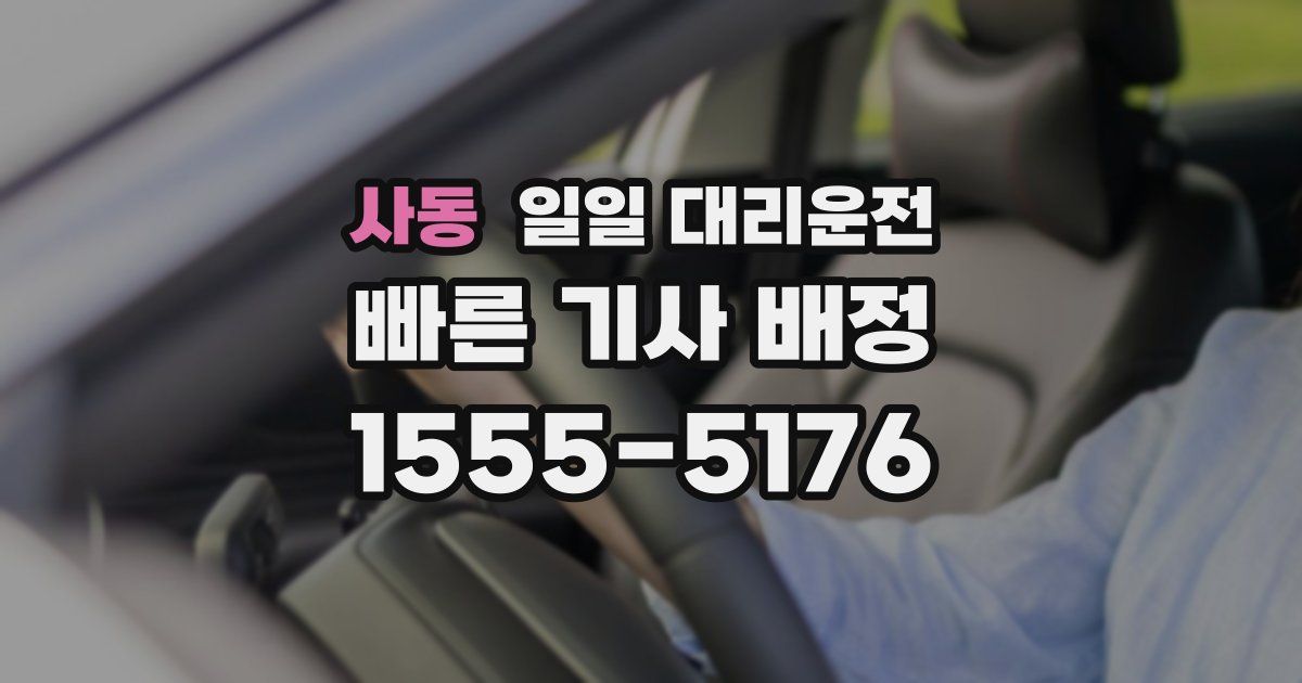 사동 일일 대리운전