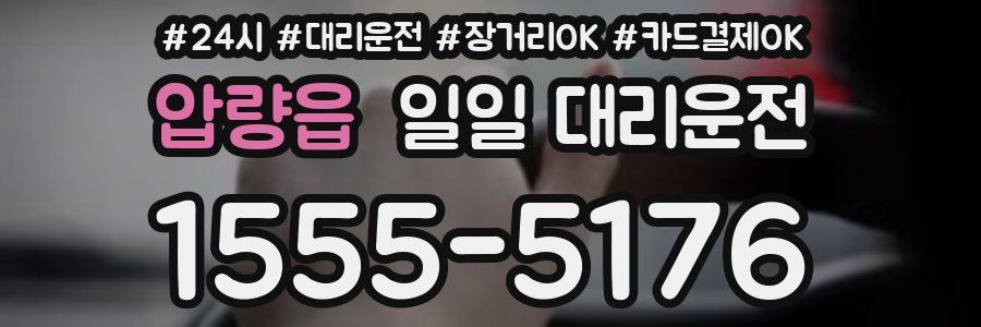 압량읍 일일 대리운전