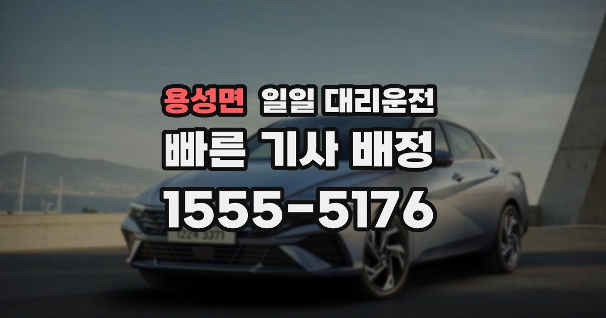 용성면 일일 대리운전