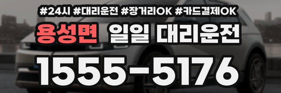 용성면 일일 대리운전