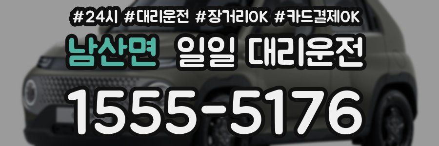 남산면 일일 대리운전