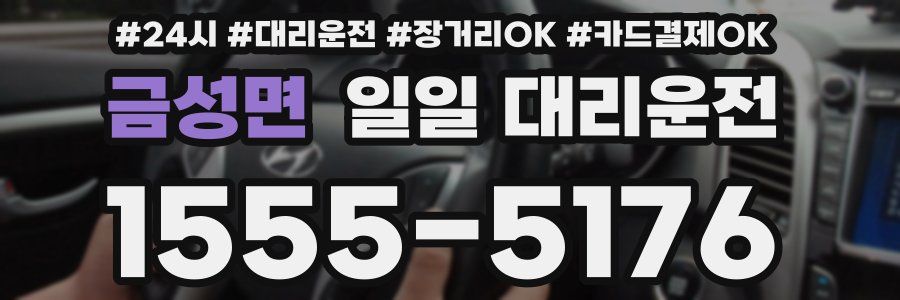 금성면 일일 대리운전