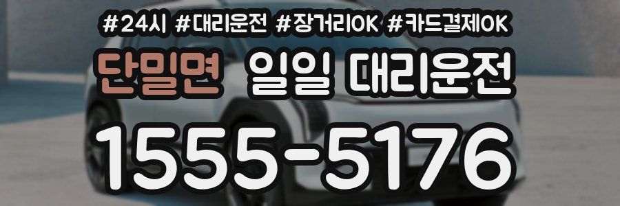 단밀면 일일 대리운전