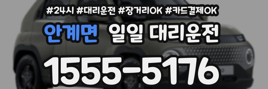 안계면 일일 대리운전