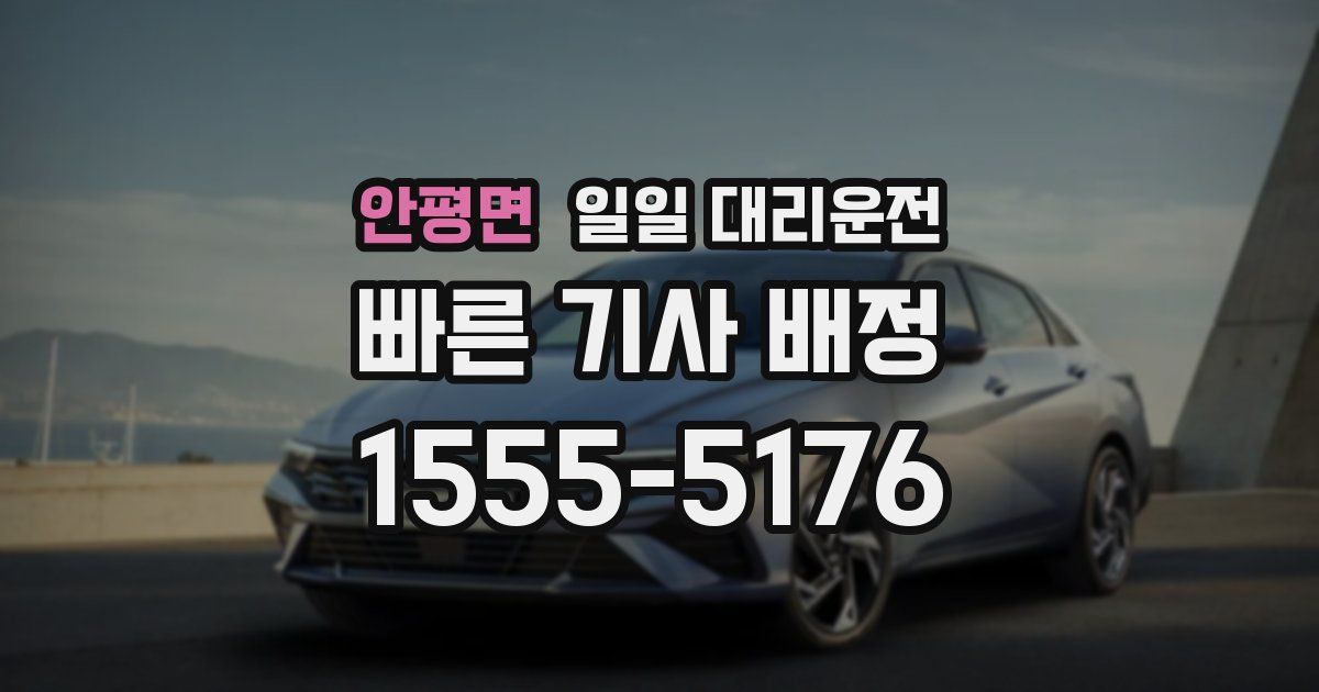 안평면 일일 대리운전