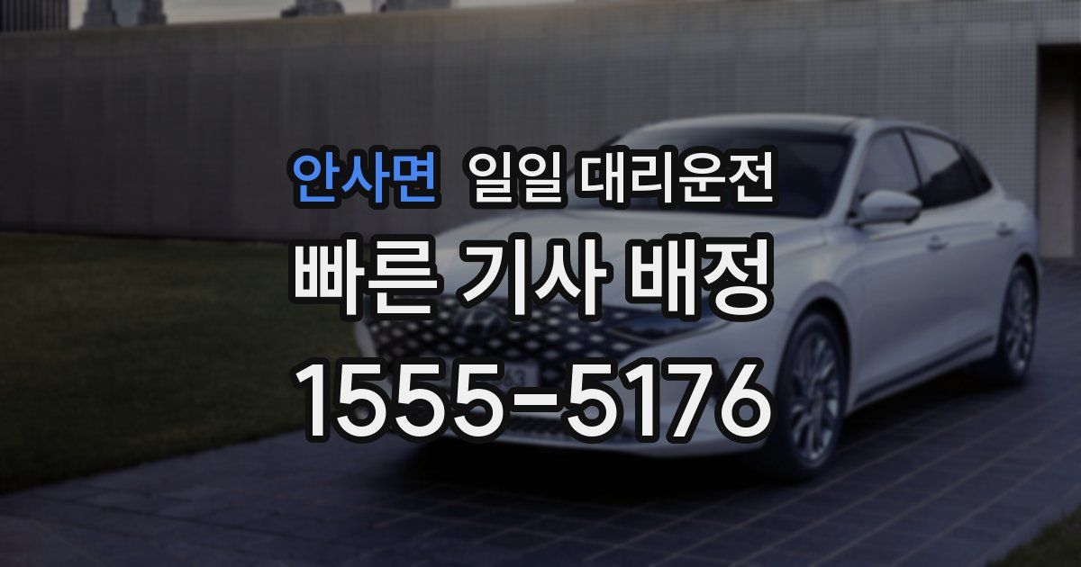 안사면 일일 대리운전
