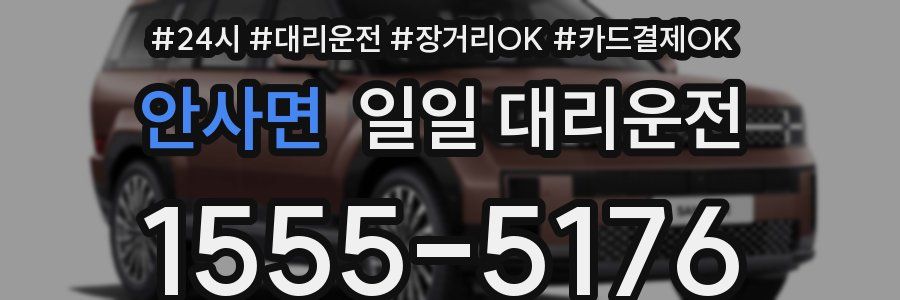 안사면 일일 대리운전