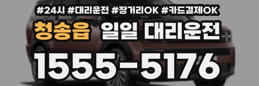 청송읍 일일 대리운전