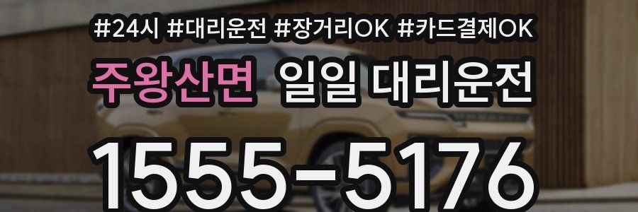 주왕산면 일일 대리운전