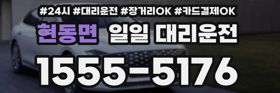 현동면 일일 대리운전