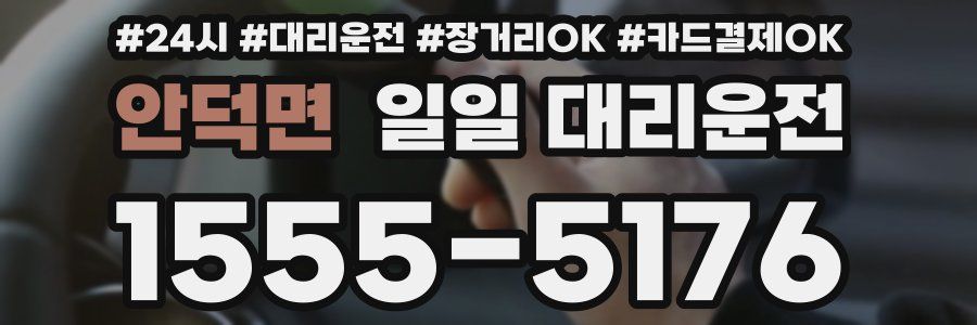 안덕면 일일 대리운전