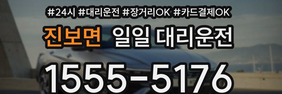 진보면 일일 대리운전
