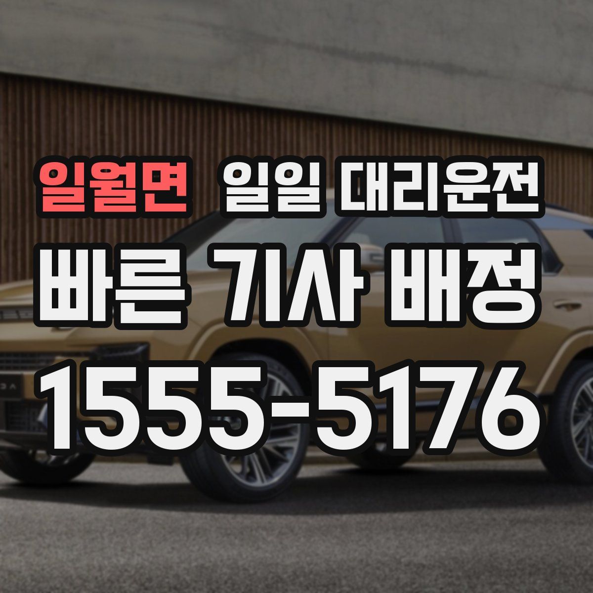 일월면 일일 대리운전