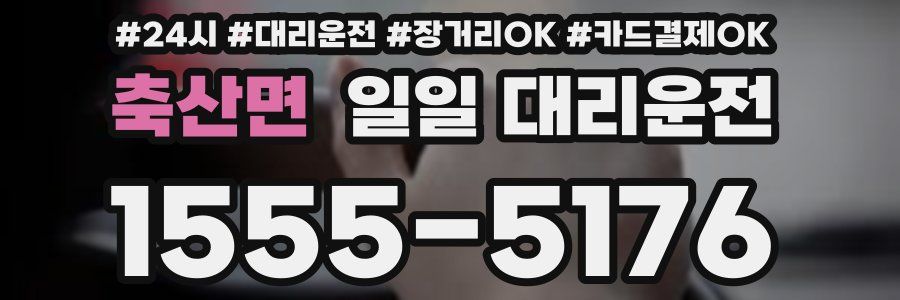 축산면 일일 대리운전