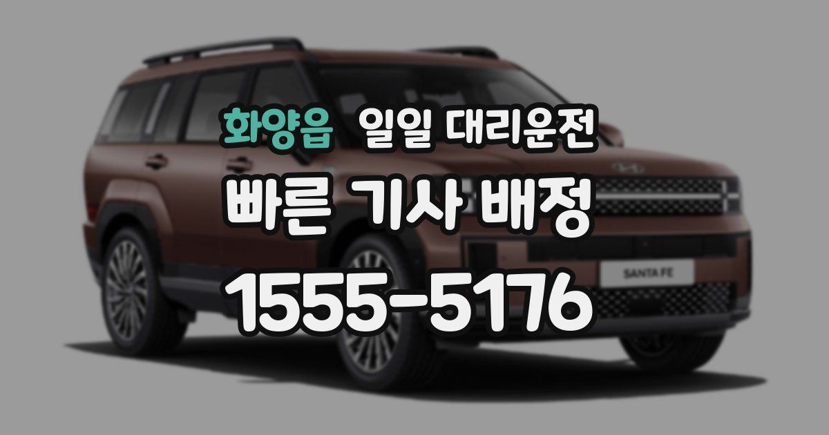 화양읍 일일 대리운전