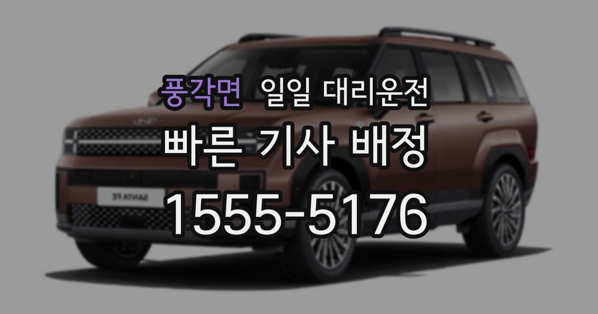 풍각면 일일 대리운전