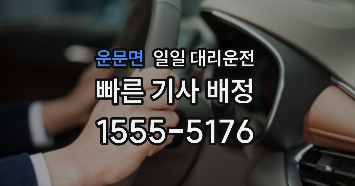 운문면 일일 대리운전