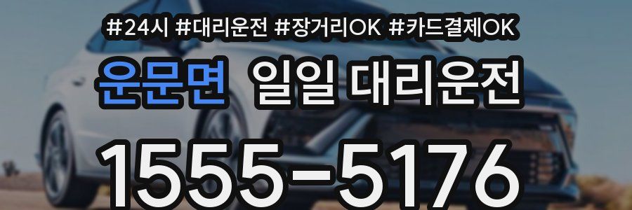 운문면 일일 대리운전