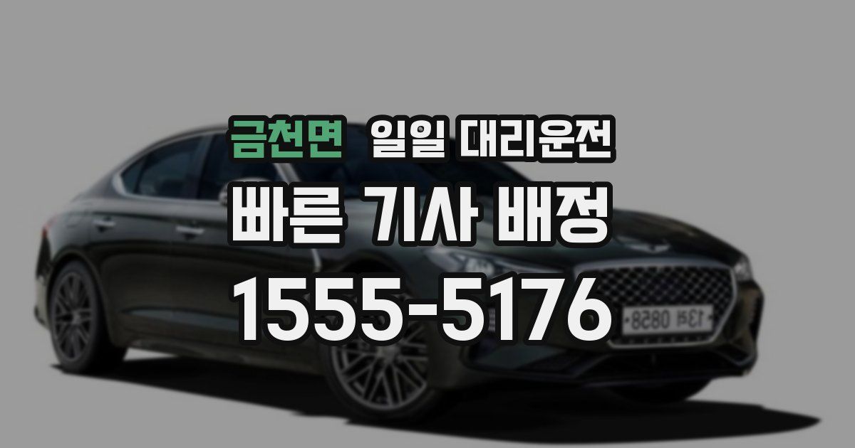 금천면 일일 대리운전