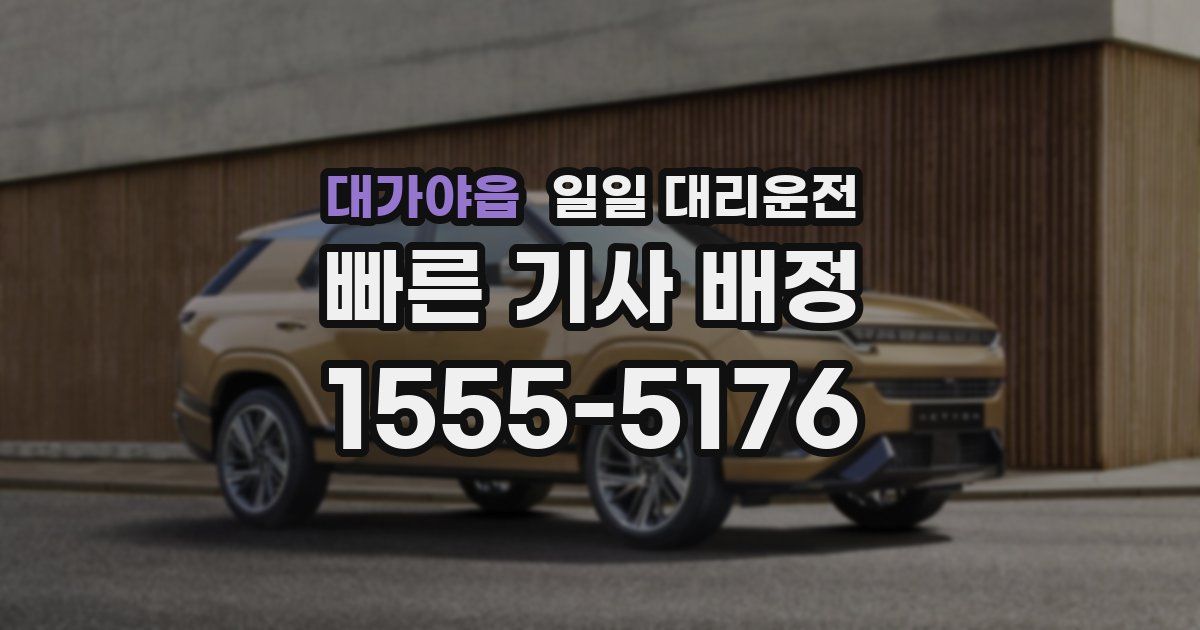 대가야읍 일일 대리운전