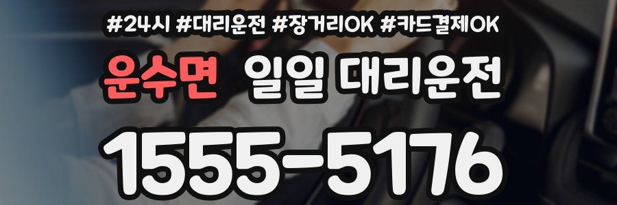 운수면 일일 대리운전