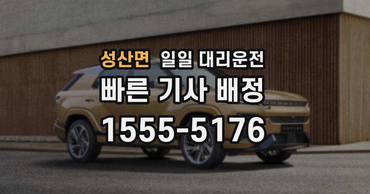 성산면 일일 대리운전