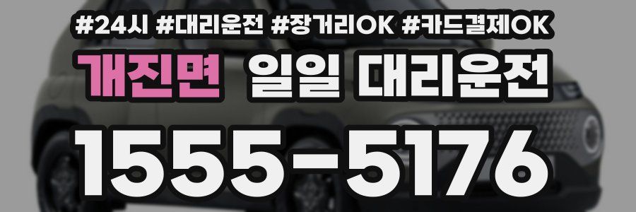 개진면 일일 대리운전