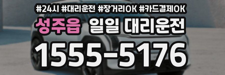 성주읍 일일 대리운전