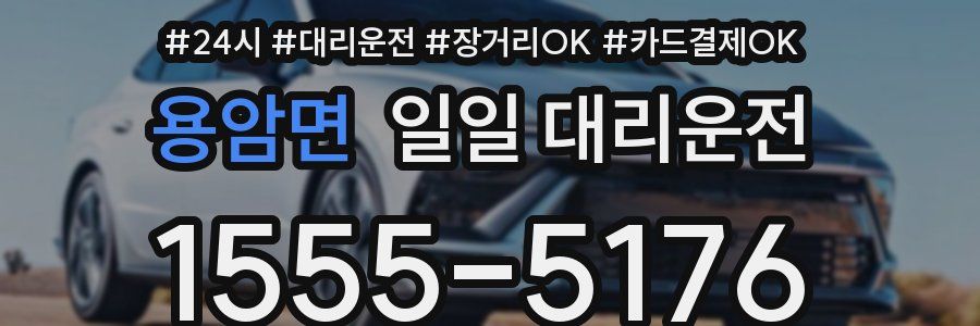 용암면 일일 대리운전