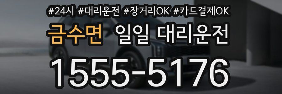 금수면 일일 대리운전