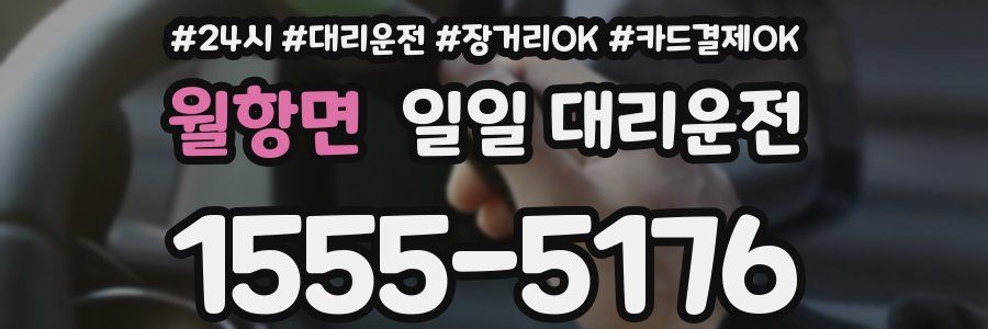 월항면 일일 대리운전