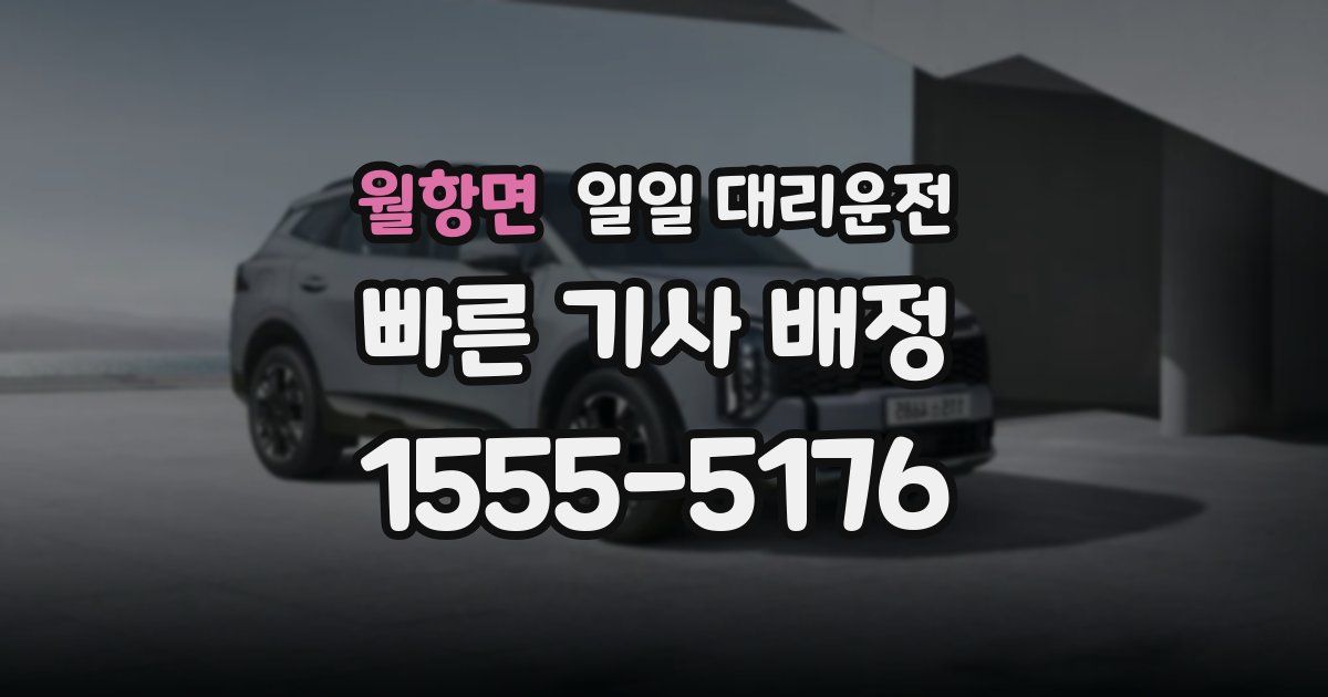 월항면 일일 대리운전
