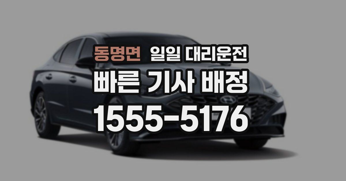 동명면 일일 대리운전