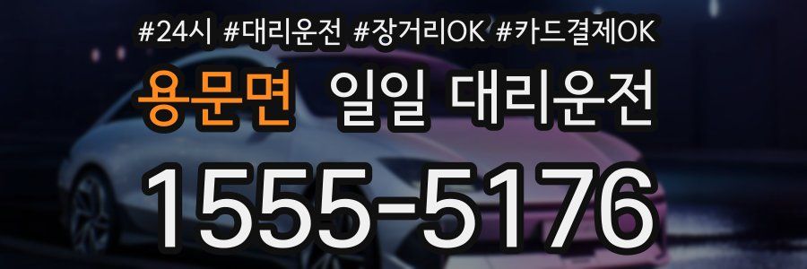 용문면 일일 대리운전