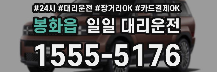 봉화읍 일일 대리운전