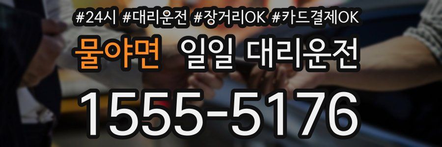 물야면 일일 대리운전
