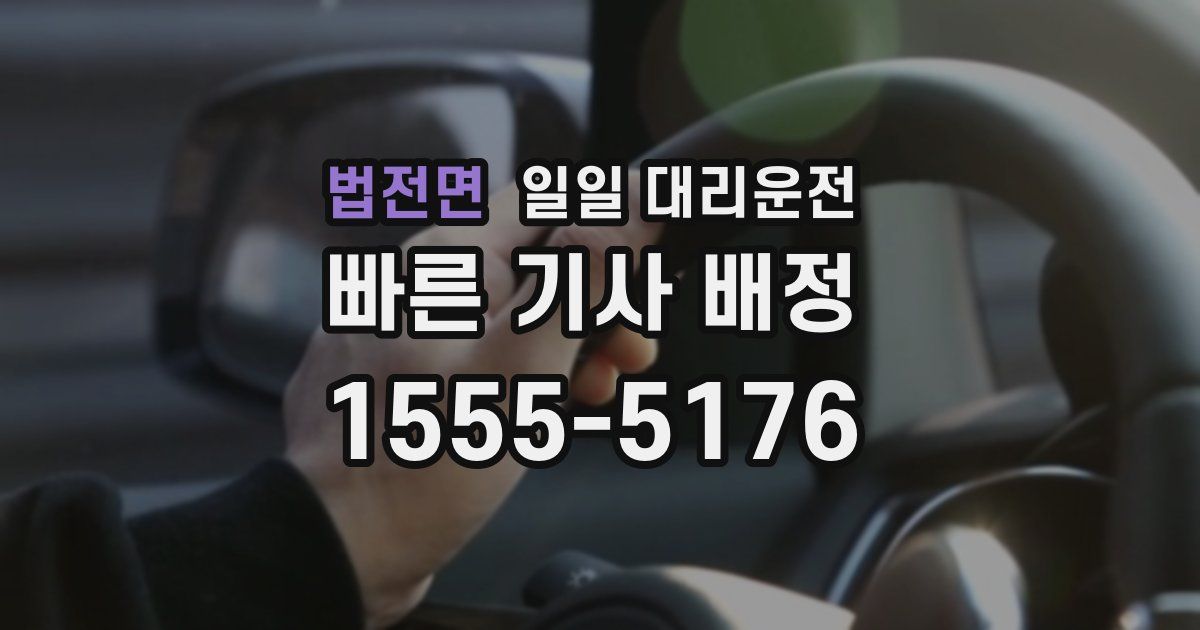 법전면 일일 대리운전