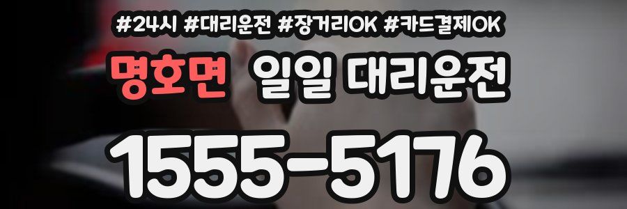 명호면 일일 대리운전