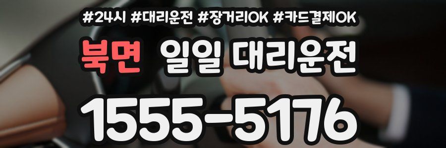 북면 일일 대리운전