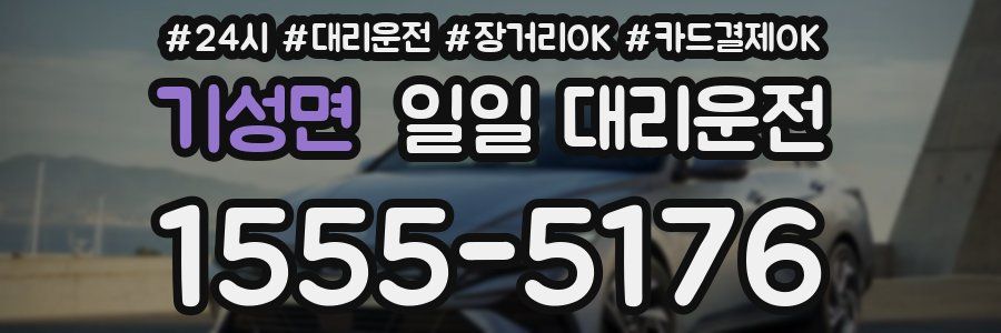 기성면 일일 대리운전