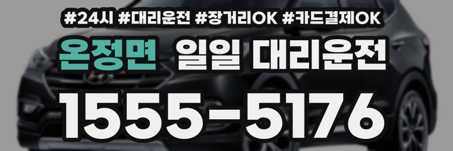 온정면 일일 대리운전