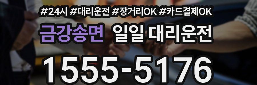 금강송면 일일 대리운전