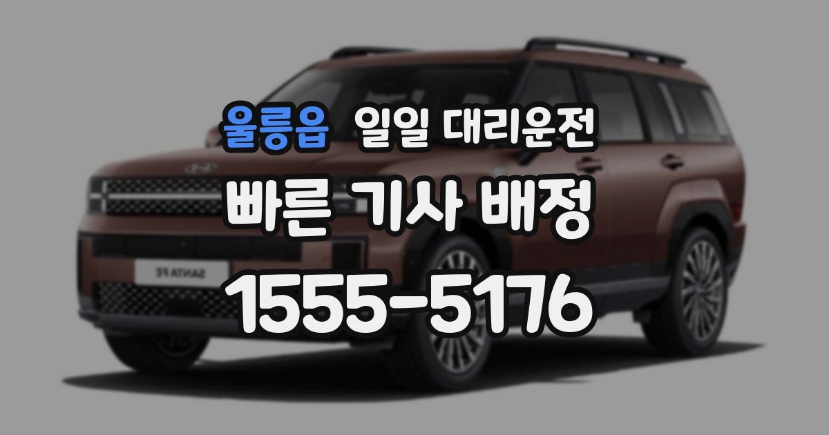 울릉읍 일일 대리운전